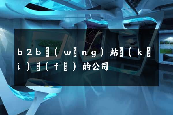 b2b網(wǎng)站開(kāi)發(fā)的公司