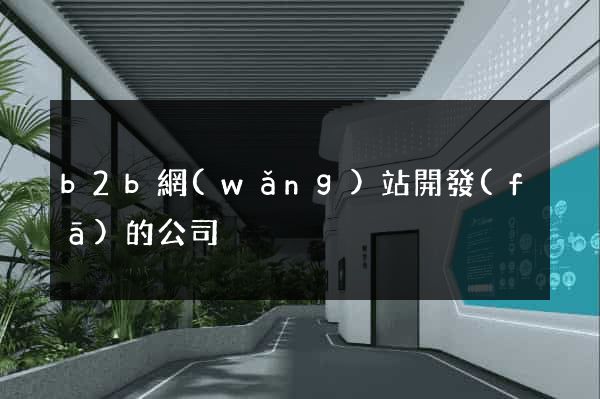 b2b網(wǎng)站開發(fā)的公司