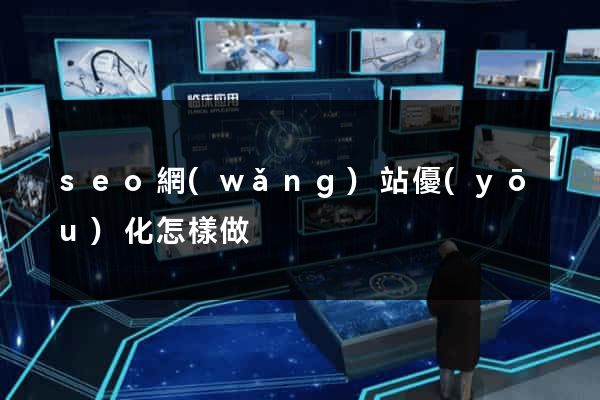 seo網(wǎng)站優(yōu)化怎樣做