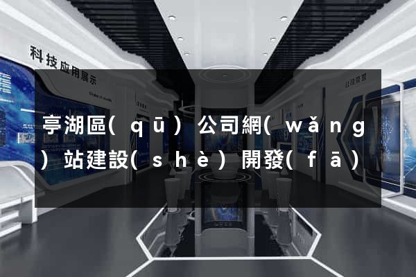 亭湖區(qū)公司網(wǎng)站建設(shè)開發(fā)