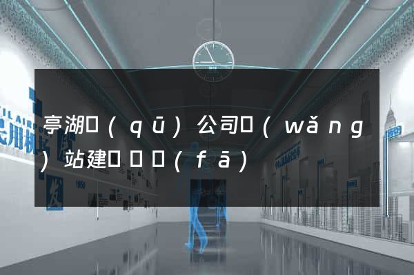 亭湖區(qū)公司網(wǎng)站建設開發(fā)