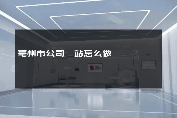 亳州市公司網站怎么做