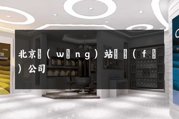 北京網(wǎng)站開發(fā)公司