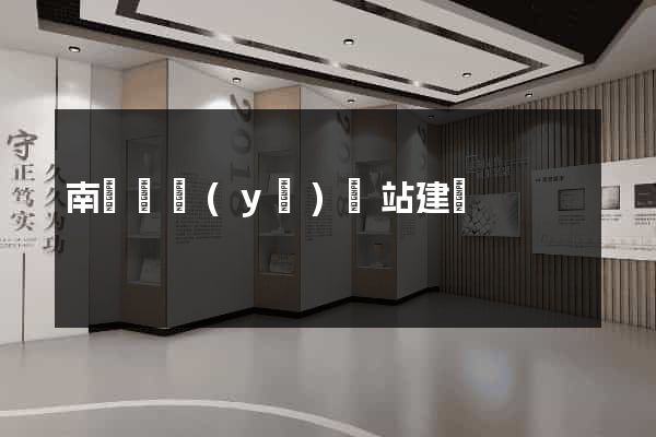 南寧專業(yè)網站建設