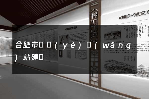 合肥市專業(yè)網(wǎng)站建設