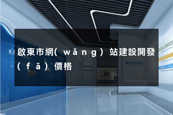 啟東市網(wǎng)站建設開發(fā)價格