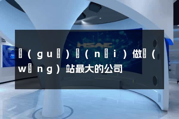 國(guó)內(nèi)做網(wǎng)站最大的公司