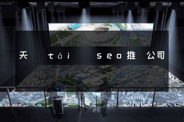 天臺(tái)縣seo推廣公司