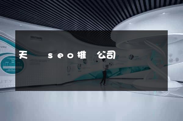 天臺縣seo推廣公司