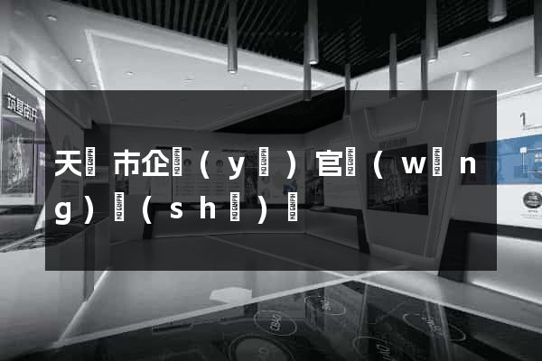 天長市企業(yè)官網(wǎng)設(shè)計