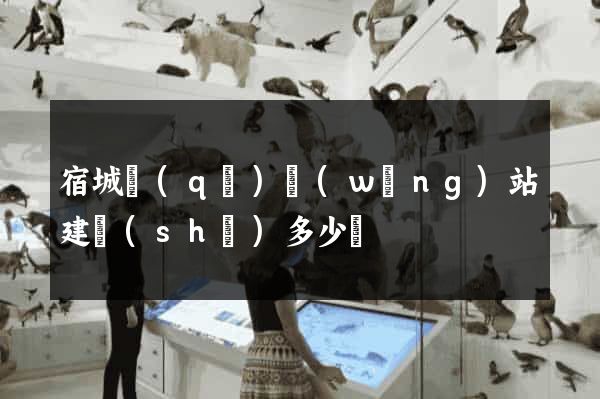 宿城區(qū)網(wǎng)站建設(shè)多少錢