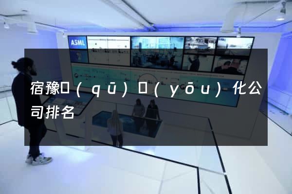 宿豫區(qū)優(yōu)化公司排名