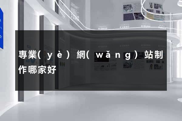 專業(yè)網(wǎng)站制作哪家好