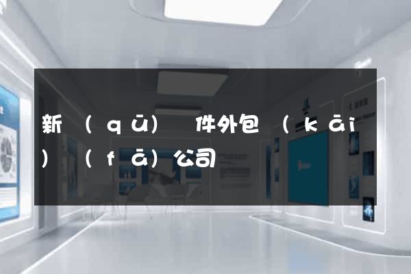 新區(qū)軟件外包開(kāi)發(fā)公司