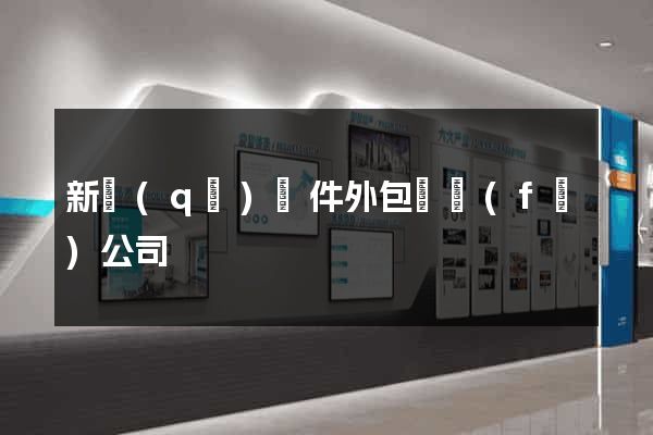 新區(qū)軟件外包開發(fā)公司