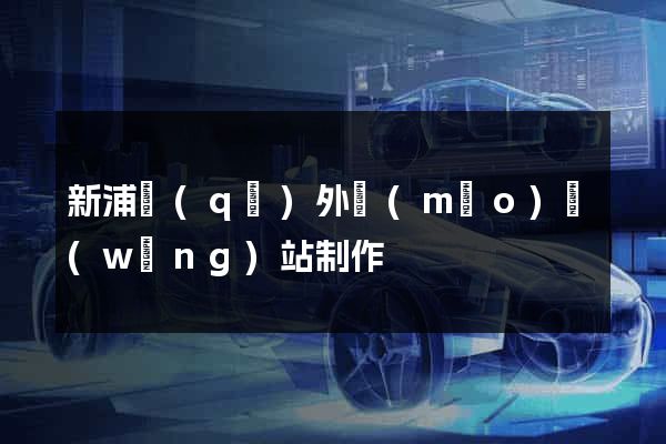 新浦區(qū)外貿(mào)網(wǎng)站制作
