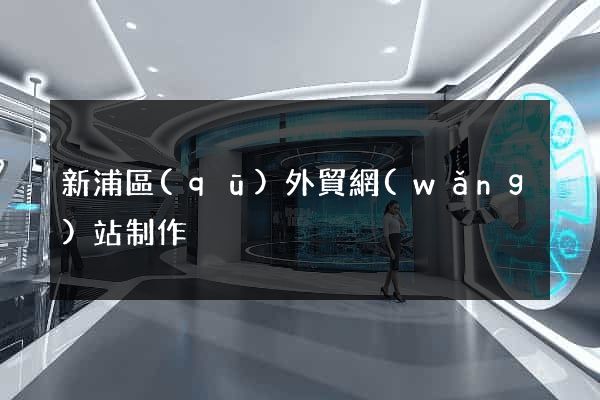新浦區(qū)外貿網(wǎng)站制作