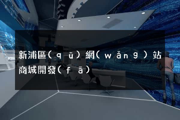 新浦區(qū)網(wǎng)站商城開發(fā)