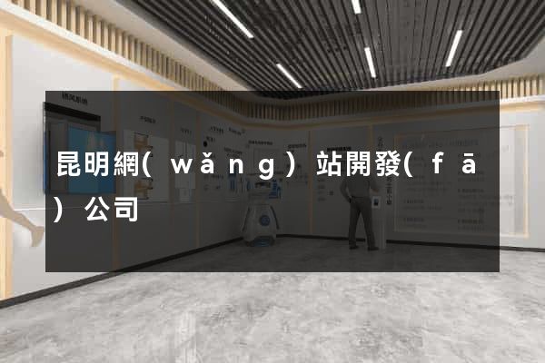 昆明網(wǎng)站開發(fā)公司