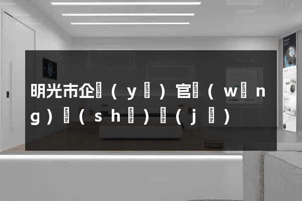明光市企業(yè)官網(wǎng)設(shè)計(jì)