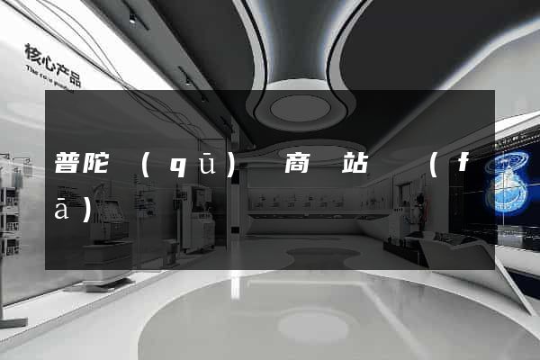 普陀區(qū)電商網站開發(fā)