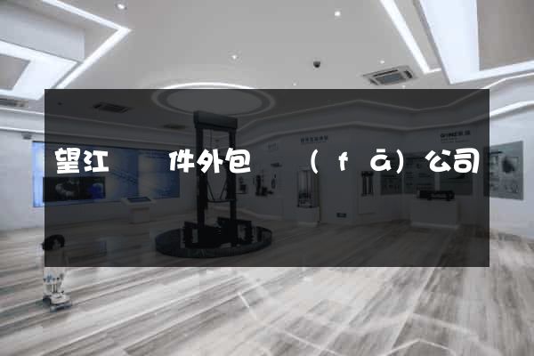 望江縣軟件外包開發(fā)公司