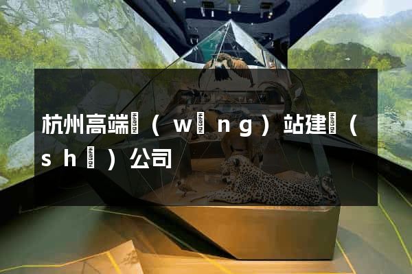 杭州高端網(wǎng)站建設(shè)公司