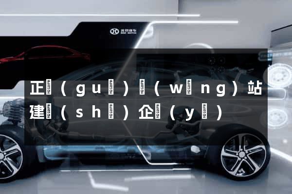 正規(guī)網(wǎng)站建設(shè)企業(yè)