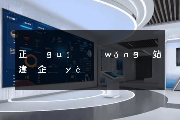 正規(guī)網(wǎng)站建設企業(yè)