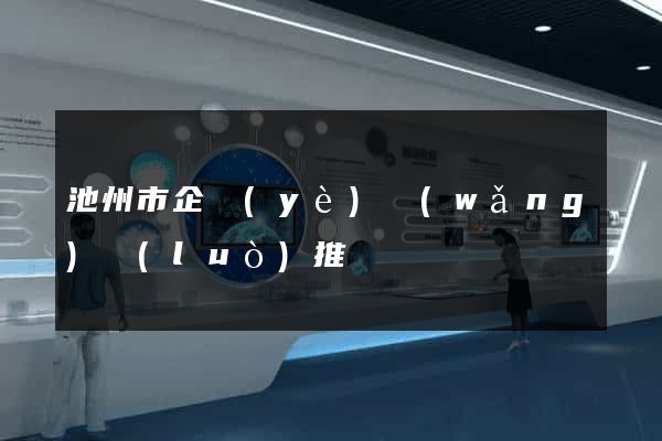 池州市企業(yè)網(wǎng)絡(luò)推廣