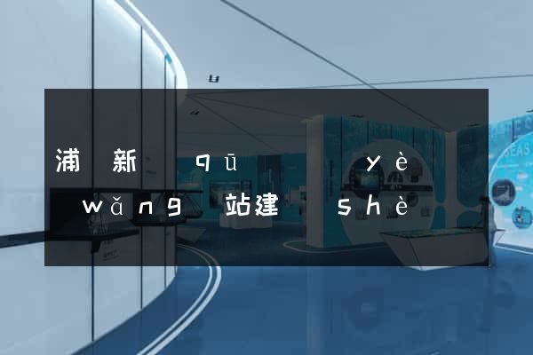 浦東新區(qū)專業(yè)網(wǎng)站建設(shè)
