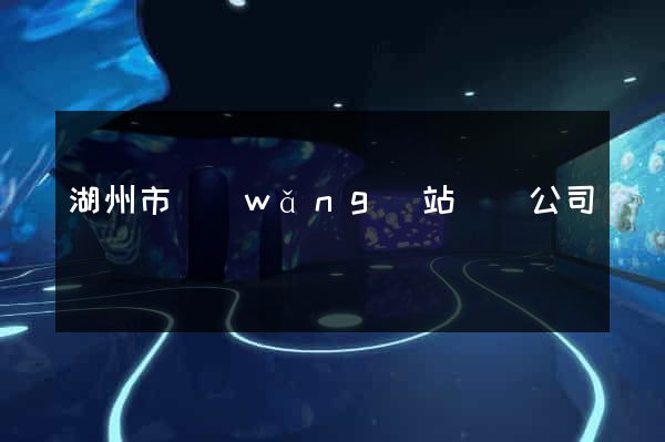 湖州市網(wǎng)站設計公司