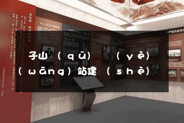 獅子山區(qū)專業(yè)網(wǎng)站建設(shè)