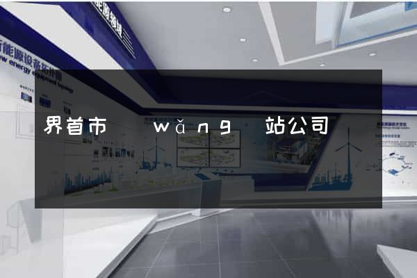 界首市網(wǎng)站公司