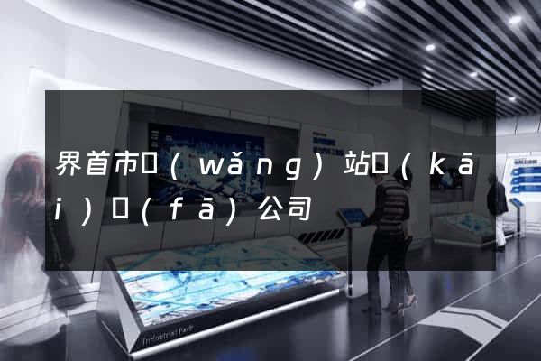 界首市網(wǎng)站開(kāi)發(fā)公司