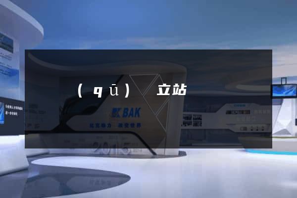 盧灣區(qū)獨立站運營