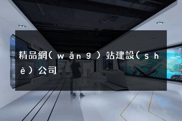 精品網(wǎng)站建設(shè)公司