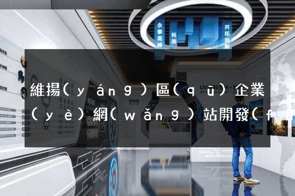 維揚(yáng)區(qū)企業(yè)網(wǎng)站開發(fā)