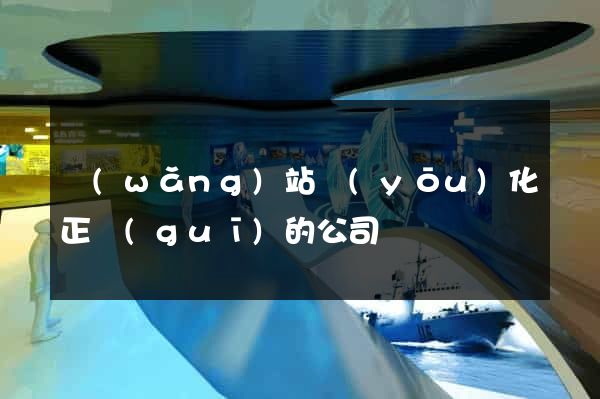 網(wǎng)站優(yōu)化正規(guī)的公司