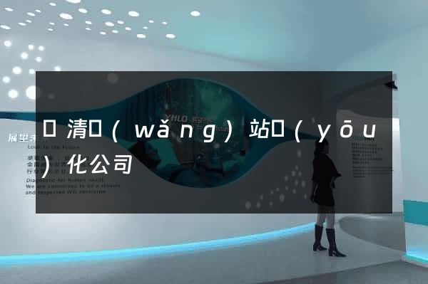 臨清網(wǎng)站優(yōu)化公司