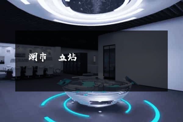 蕪湖市獨立站運營