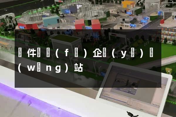 軟件開發(fā)企業(yè)網(wǎng)站