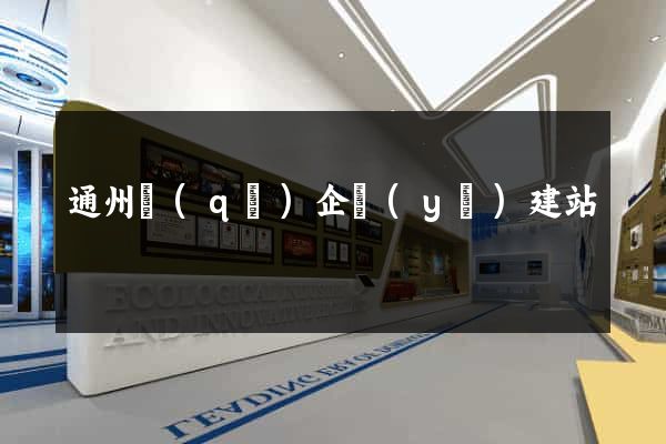 通州區(qū)企業(yè)建站