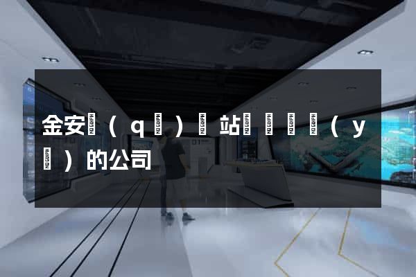 金安區(qū)網站設計專業(yè)的公司