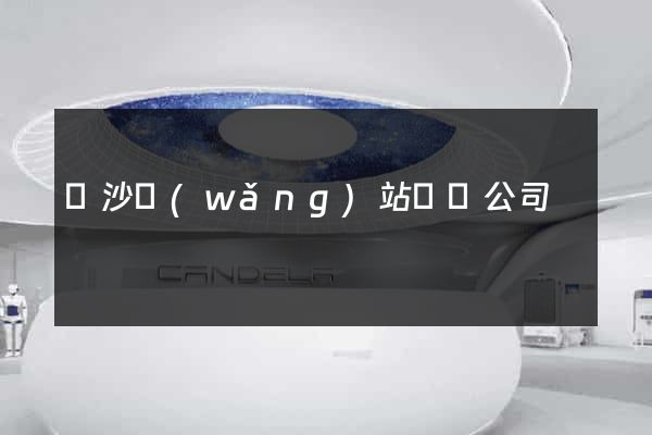 長沙網(wǎng)站設計公司