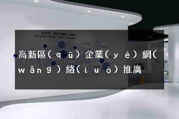 高新區(qū)企業(yè)網(wǎng)絡(luò)推廣