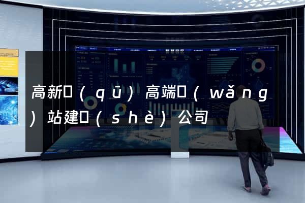 高新區(qū)高端網(wǎng)站建設(shè)公司