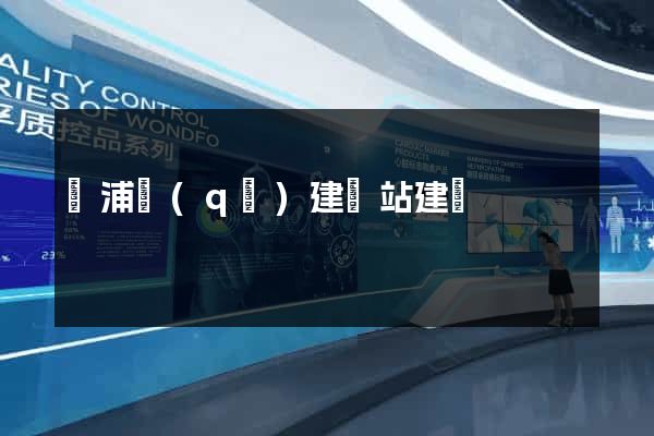 黃浦區(qū)建網站建設