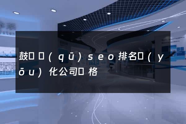 鼓樓區(qū)seo排名優(yōu)化公司價格