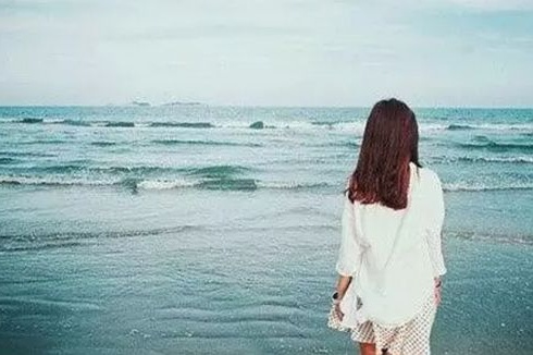 國內(nèi)知名網(wǎng)站建設(shè)